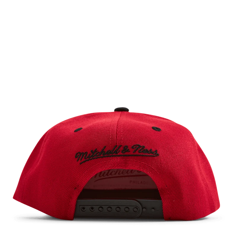 Bulls Monument Snapback