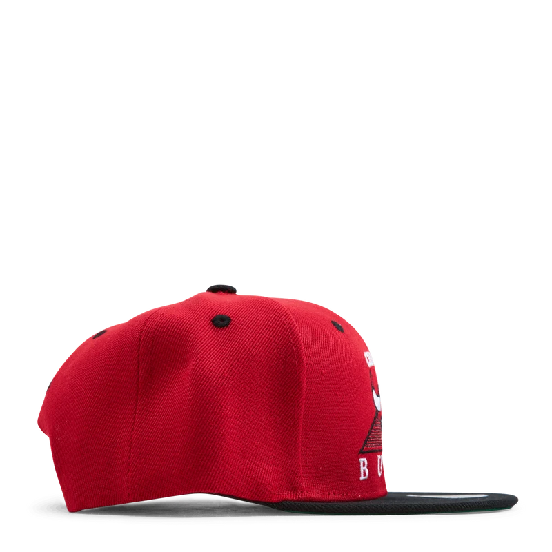Bulls Monument Snapback