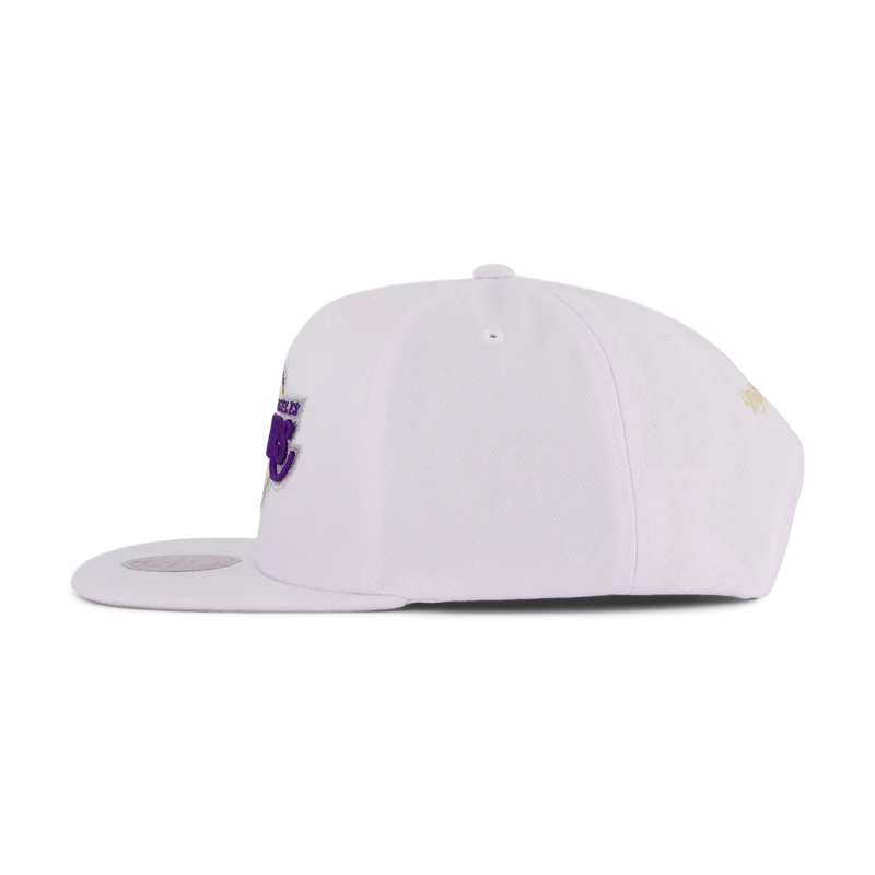 Lakers Winter Snapback