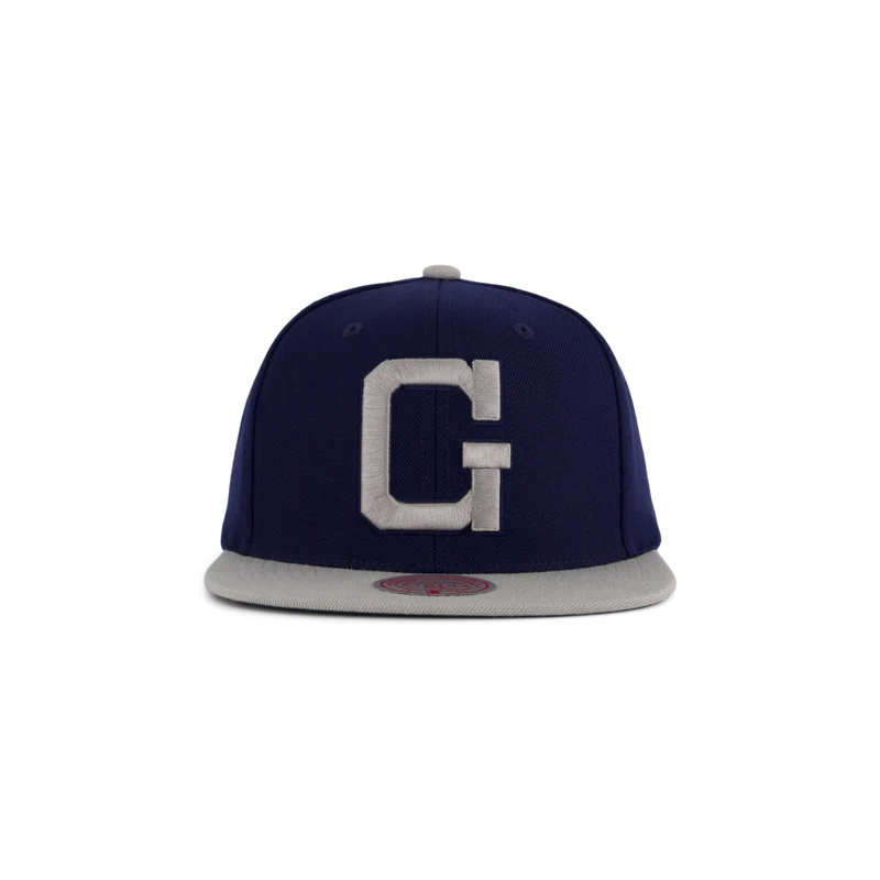 Hoyas Team 2 Tone 2.0 Snapback