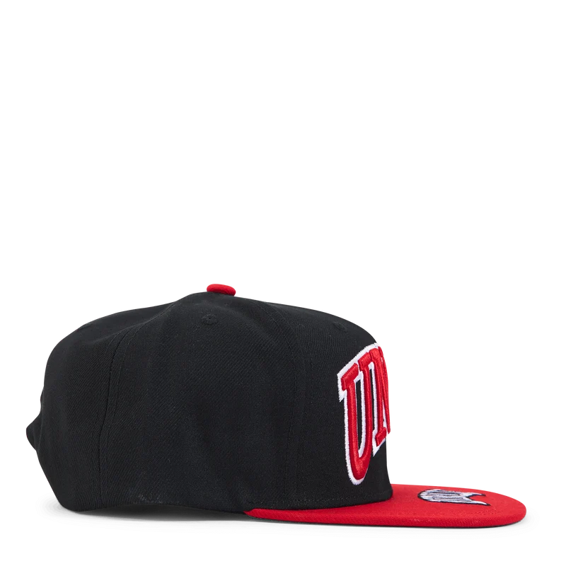 UNLV Rebels Logo Bill Snapback