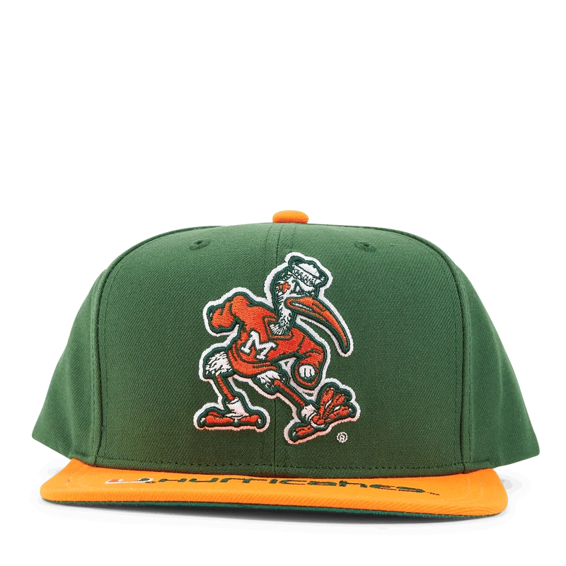 Logo Bill Snapback