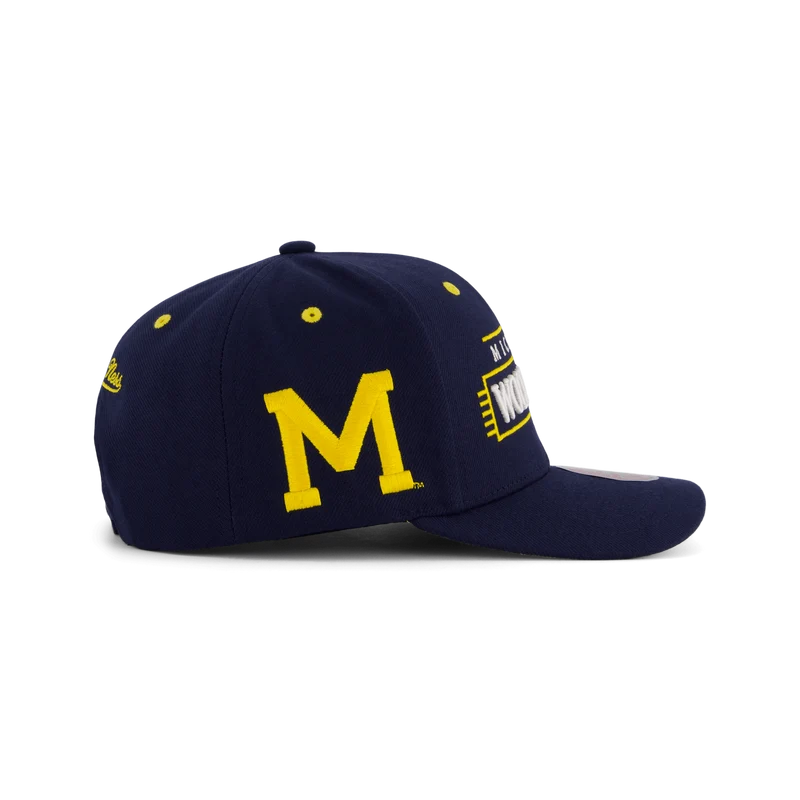 Wolwerines Team Lofi Pro Snapback