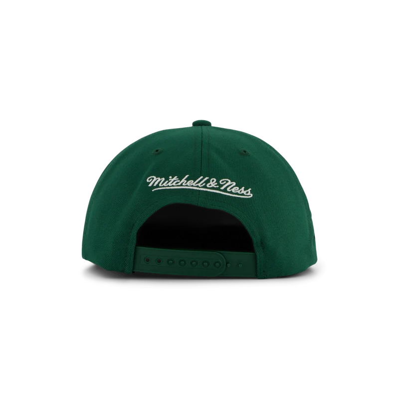 Bucks Conference Patch Snapback HWC