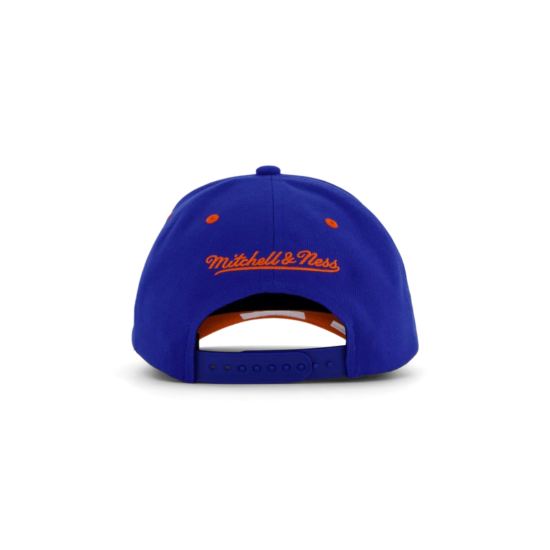 Gators Team Lofi Pro Snapback