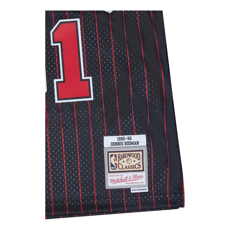 Swingman Jersey -Dennis Rodman