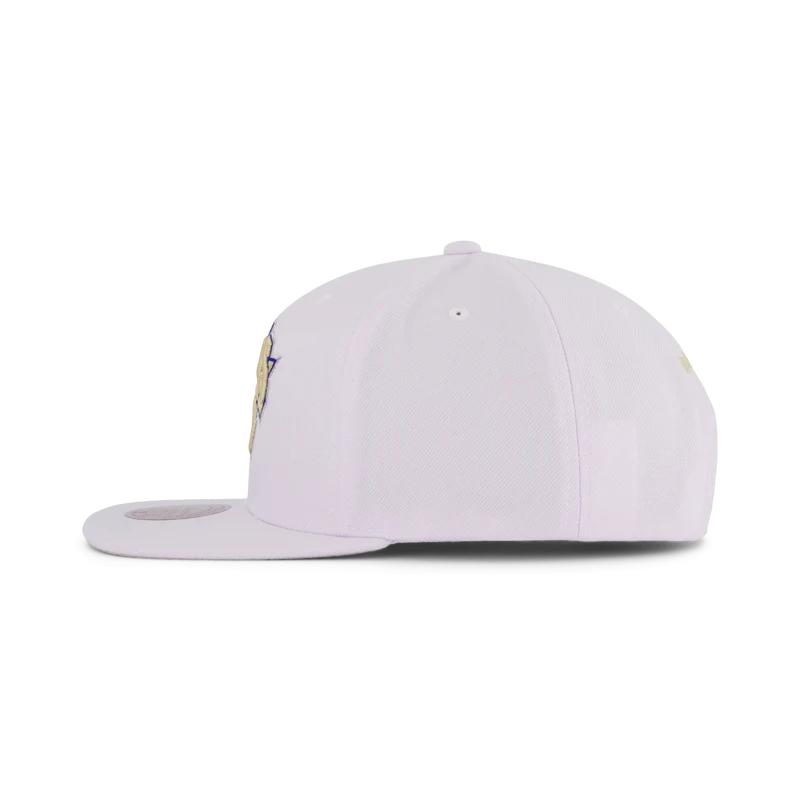 Knicks Winter Snapback