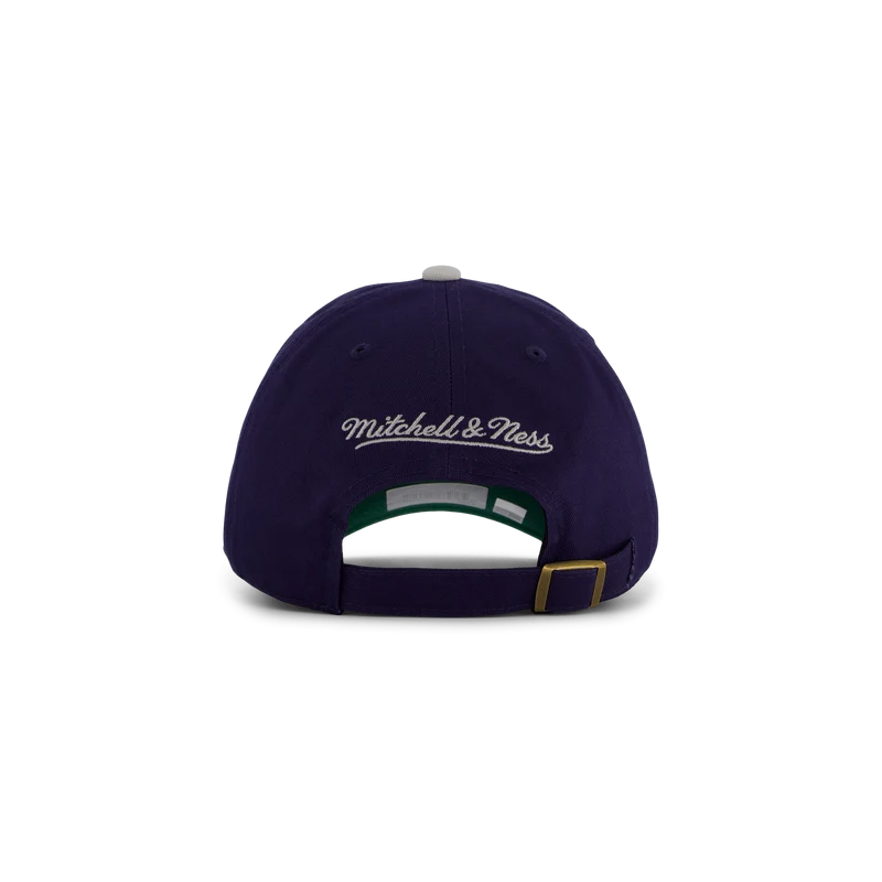 Hoyas Team 2 Tone 2.0 Dad Strapback