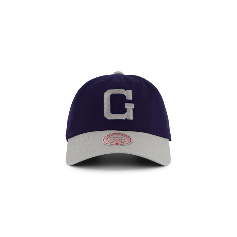 Hoyas Team 2 Tone 2.0 Dad Strapback