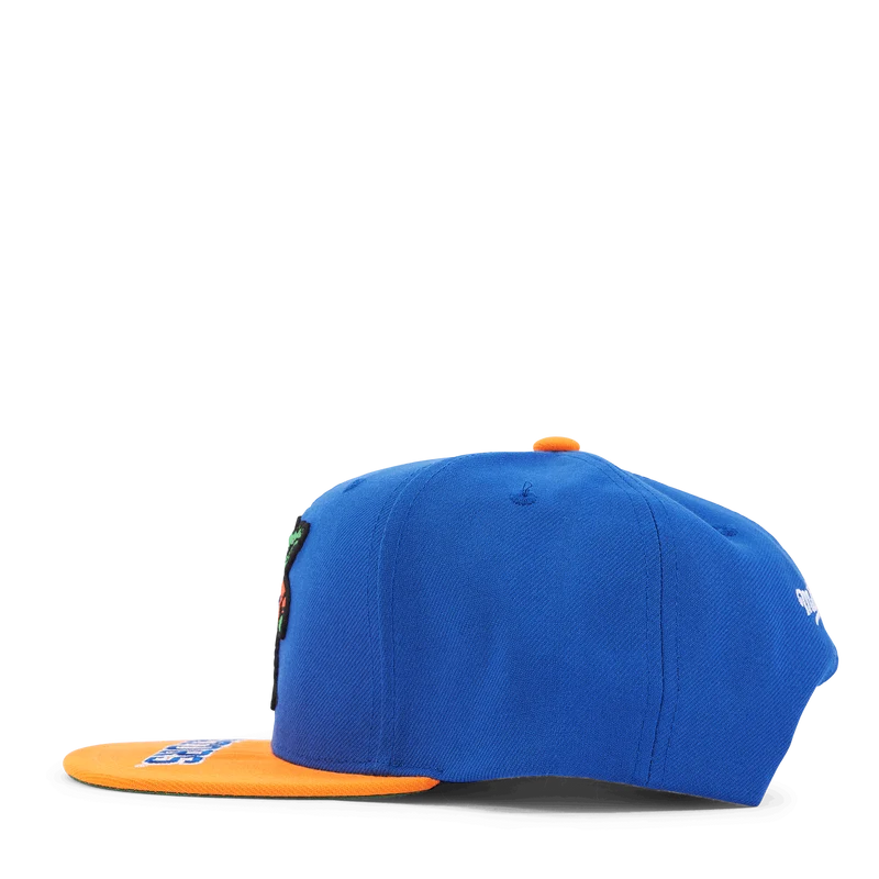 Gators Logo Bill Snapback
