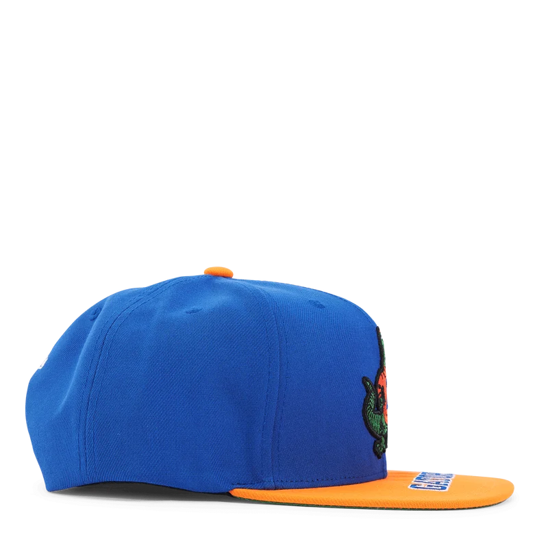 Gators Logo Bill Snapback