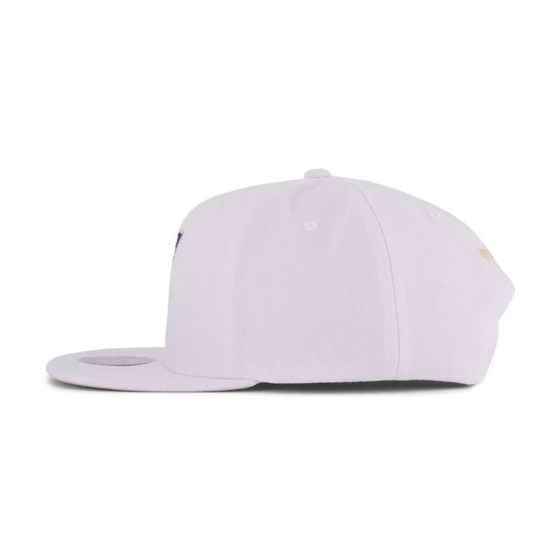 Suns Winter Snapback