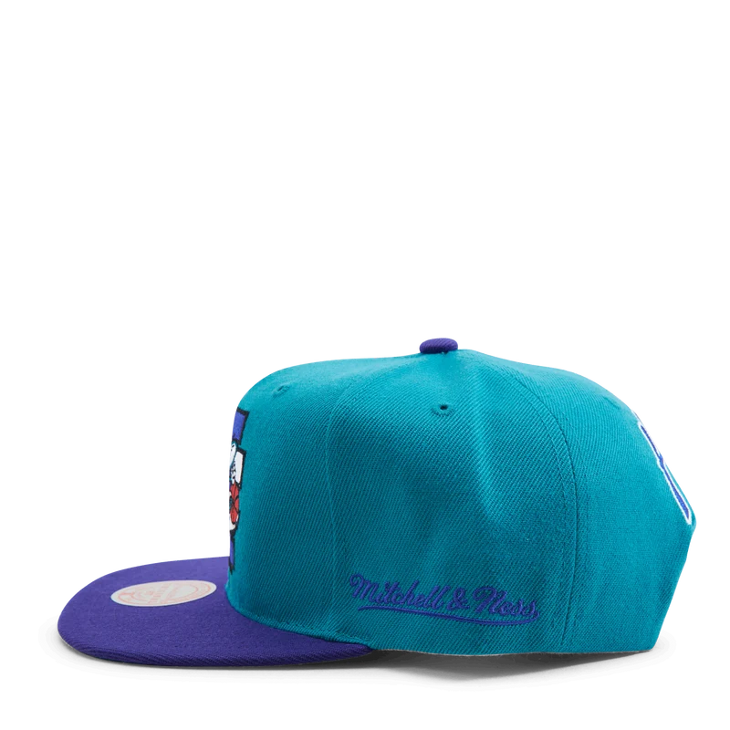 Hornets Rear Script Deadstock