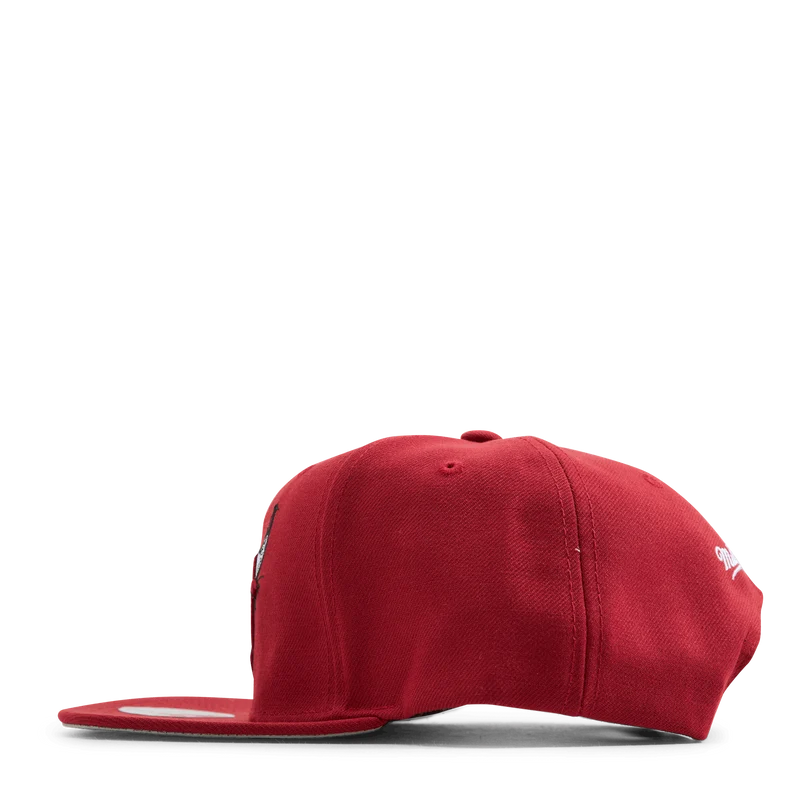 Bulls Embroidery Glitch Snapback