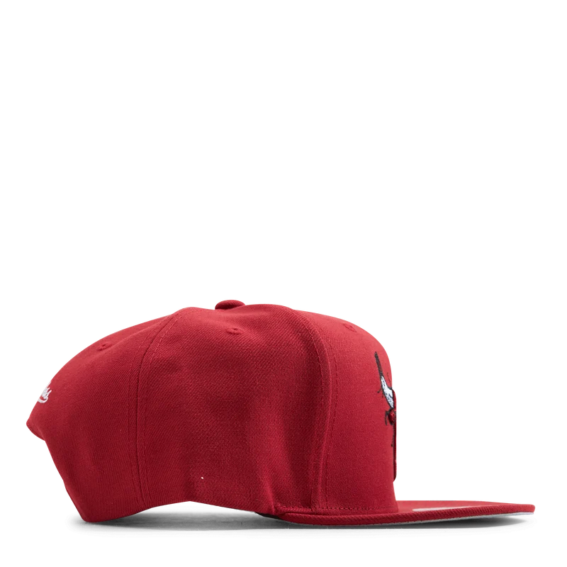 Bulls Embroidery Glitch Snapback