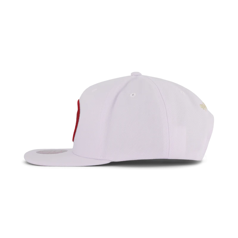 Hawks Winter Snapback