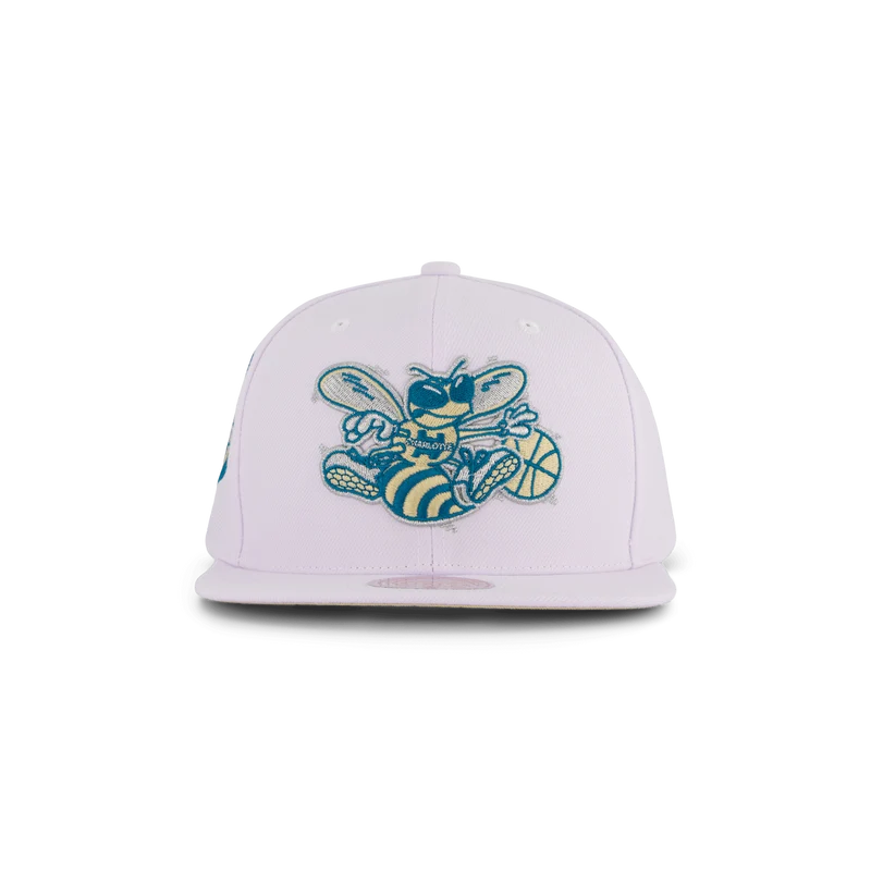 Hornets Winter Snapback