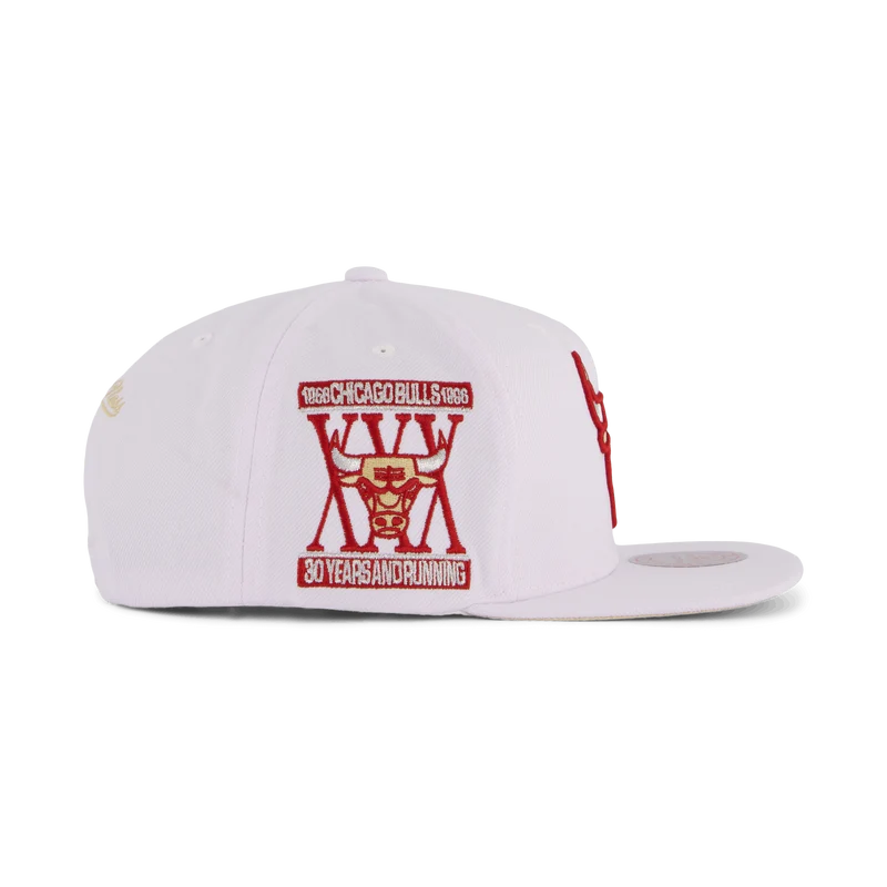 Bulls Winter Snapback