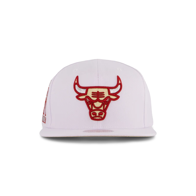 Bulls Winter Snapback