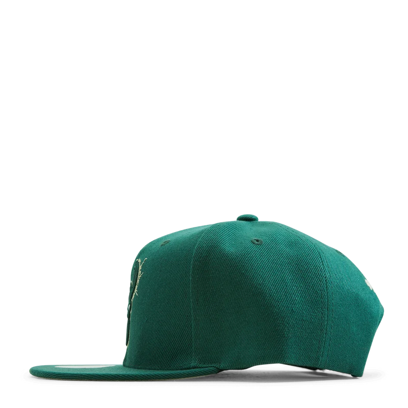 Bucks Embroidery Glitch Snapback