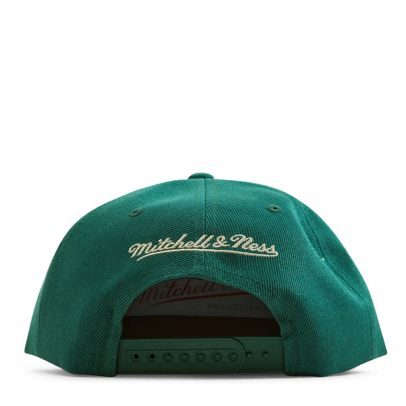 Bucks Embroidery Glitch Snapback