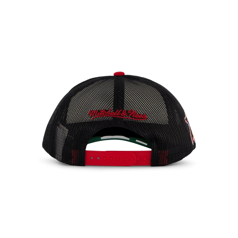 76ers Party Time Trucker Snapback HWC