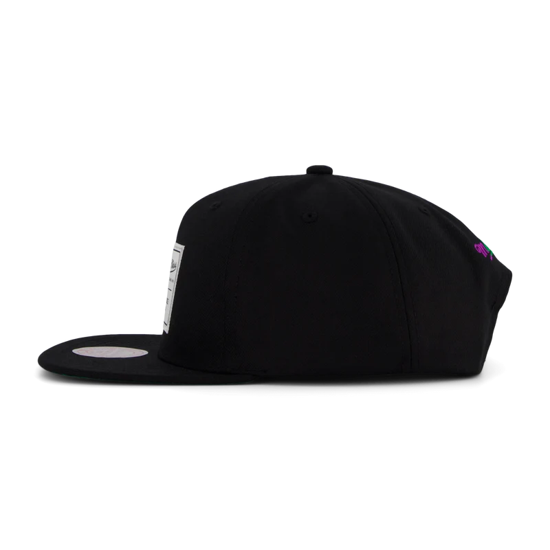 Branded Gameday Snapback