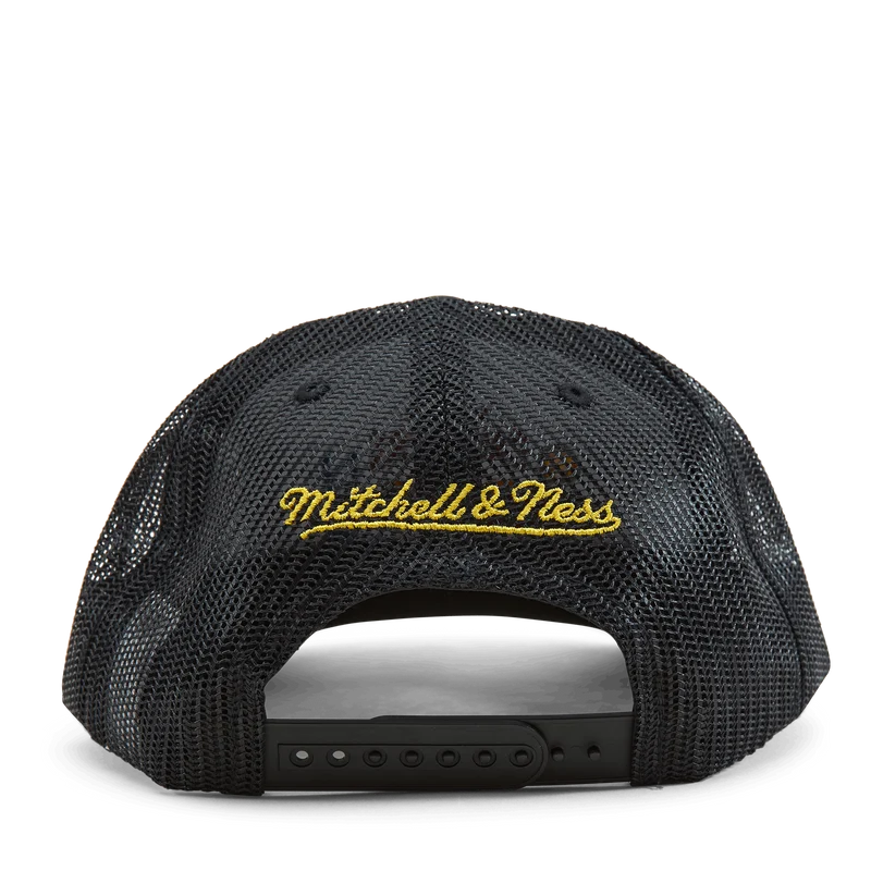 Cavaliers 2016 Championship Trucker