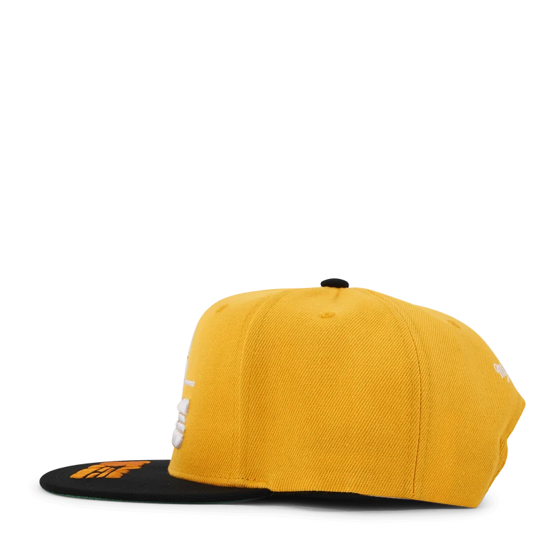 Tennessee Volunteers Logo Bill Snapback