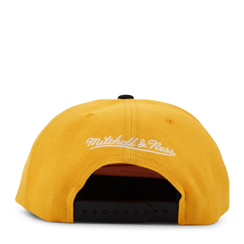 Tennessee Volunteers Logo Bill Snapback