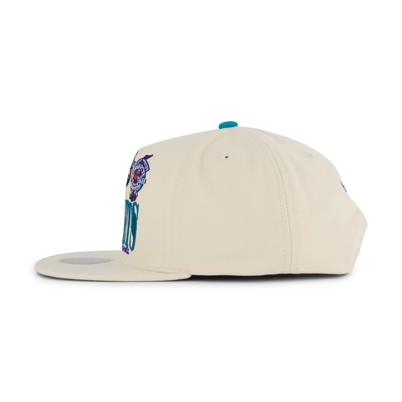 Hornets Reframe Retro Snapback HWC