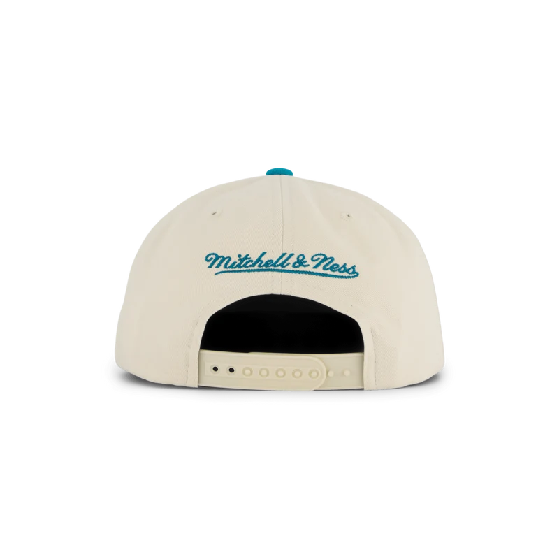 Hornets Reframe Retro Snapback HWC
