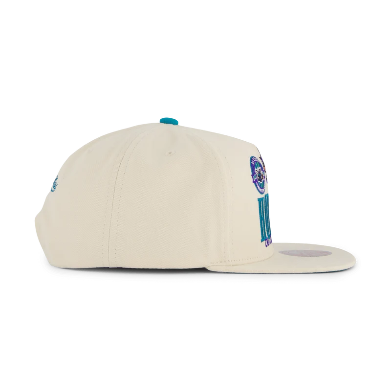 Hornets Reframe Retro Snapback HWC