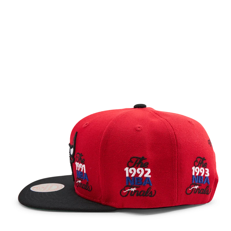 Patched Up Snapback