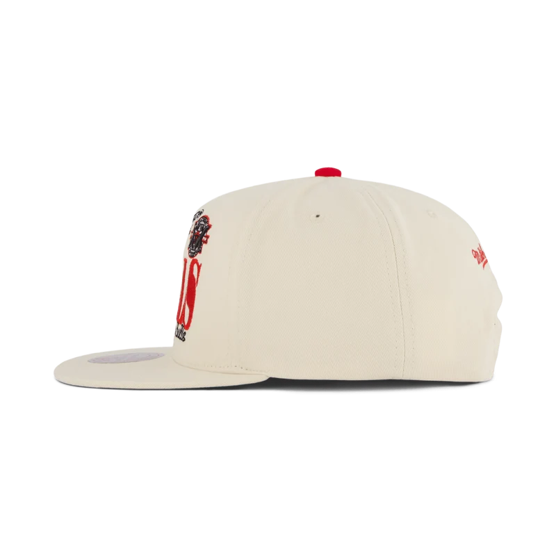 Bulls Reframe Retro Snapback HWC