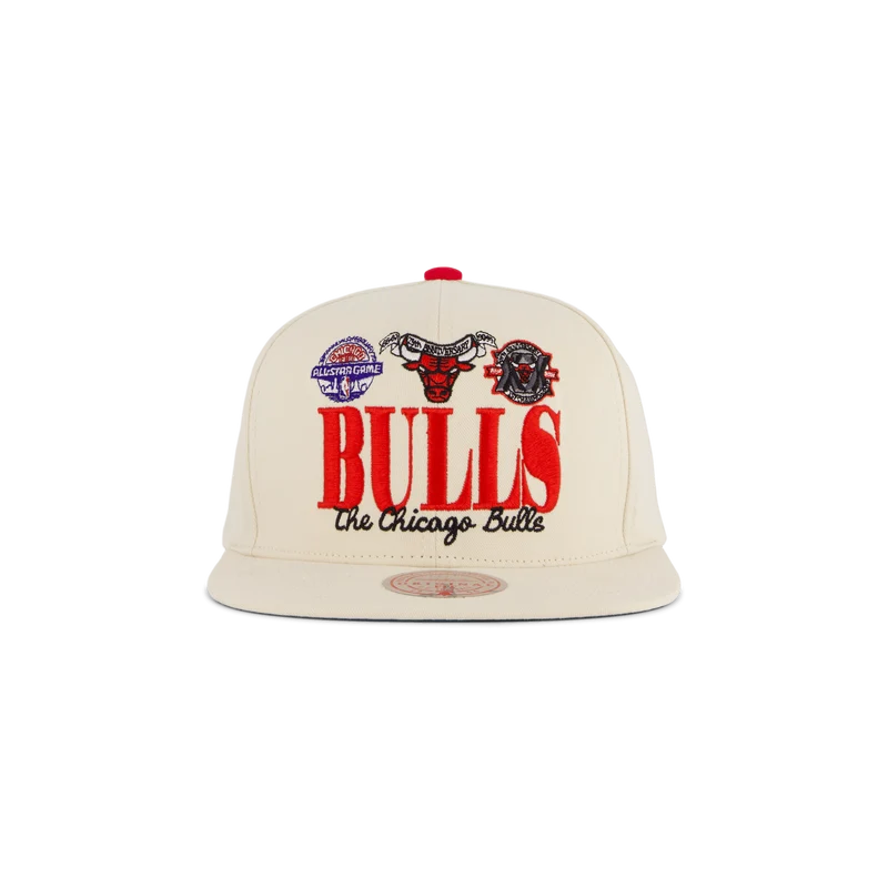 Bulls Reframe Retro Snapback HWC
