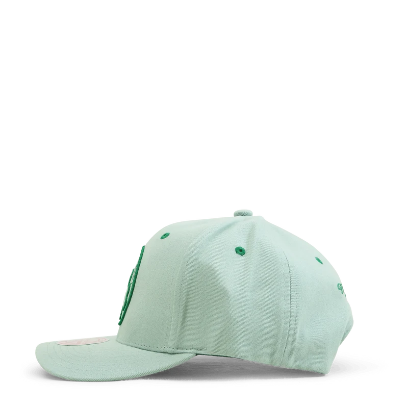 Celtics Space Knit Pro Snapback HWC