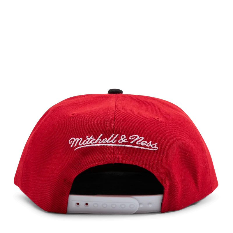 Celtics Cardinal 2 Tone