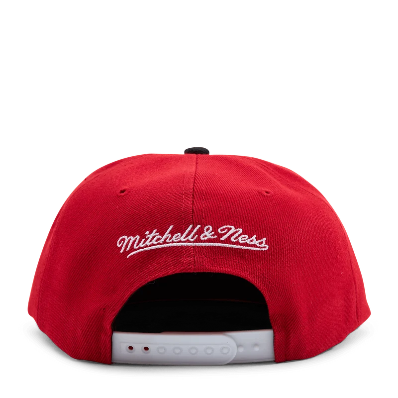 Nets Cardinal 2 Tone Snapback