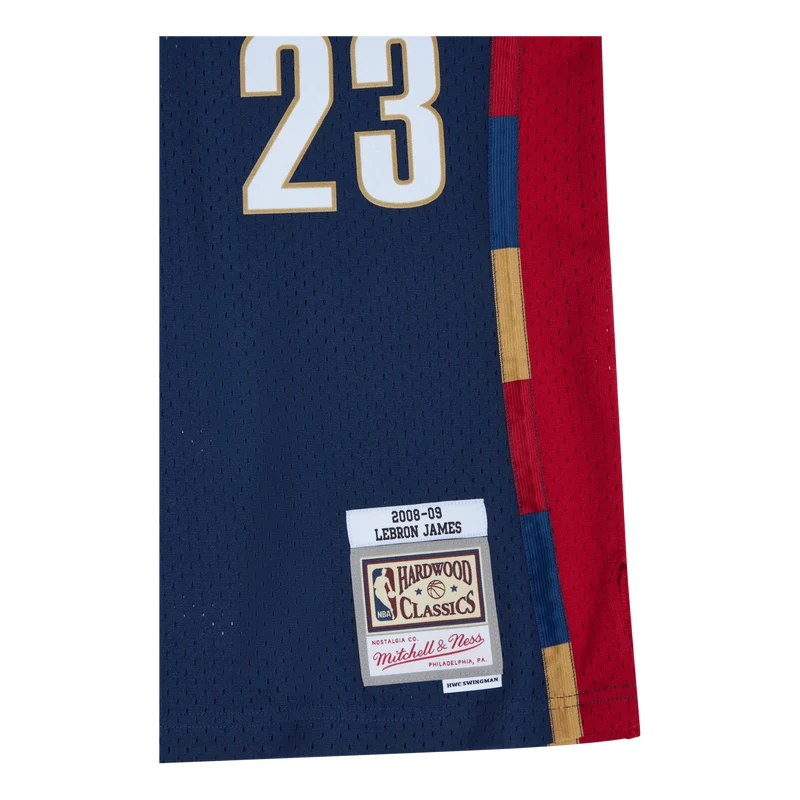 Cavs Swingman Jersey - LeBron James