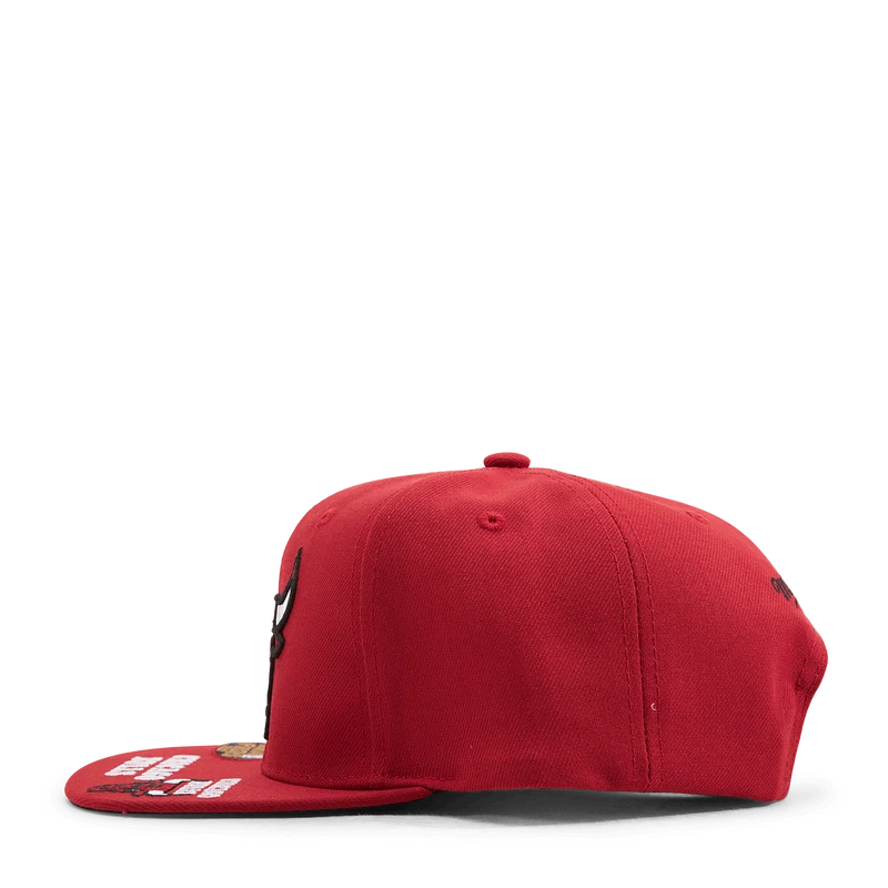 Bulls Front Face Snapback