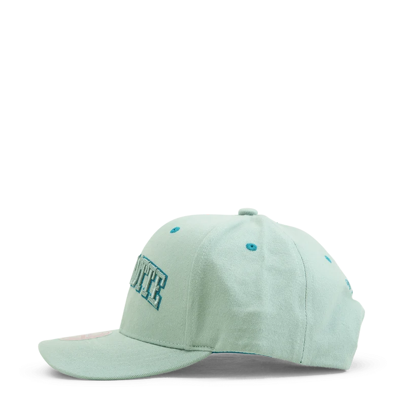 Hornets Space Knit Pro Snapback HWC
