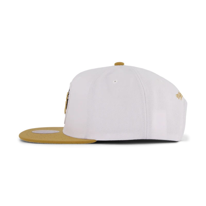 Raptors Side Core 2.0 Snapback