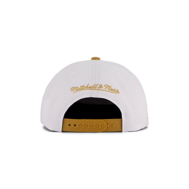 Raptors Side Core 2.0 Snapback