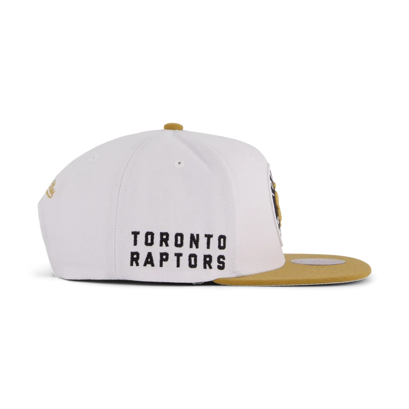 Raptors Side Core 2.0 Snapback