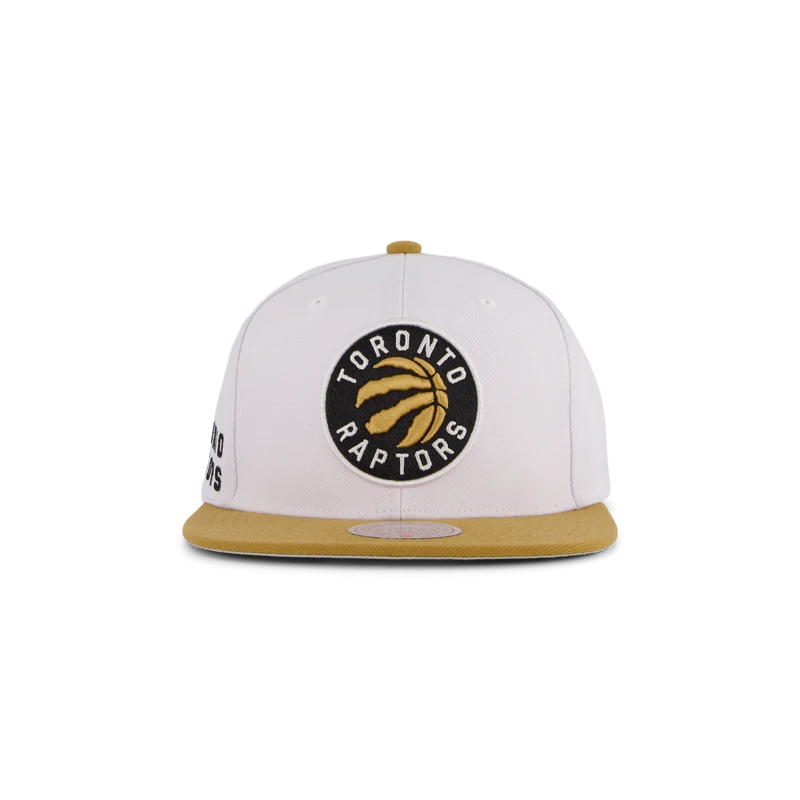 Raptors Side Core 2.0 Snapback