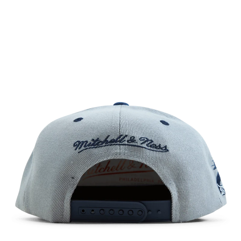 The District Snapback