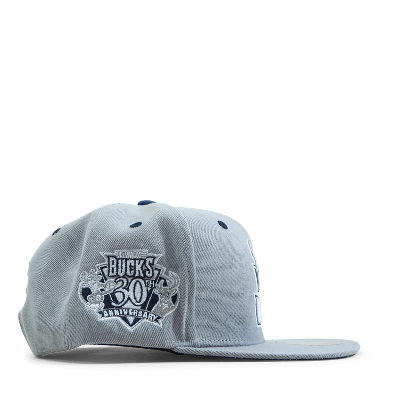 Bucks The District Snapback HWC