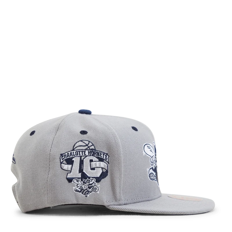 Hornets The District Snapback HWC