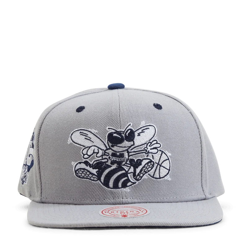 Hornets The District Snapback HWC